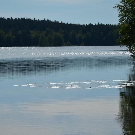 Pappilanniemi Course Centre 호텔 Lempäälä 외부 사진